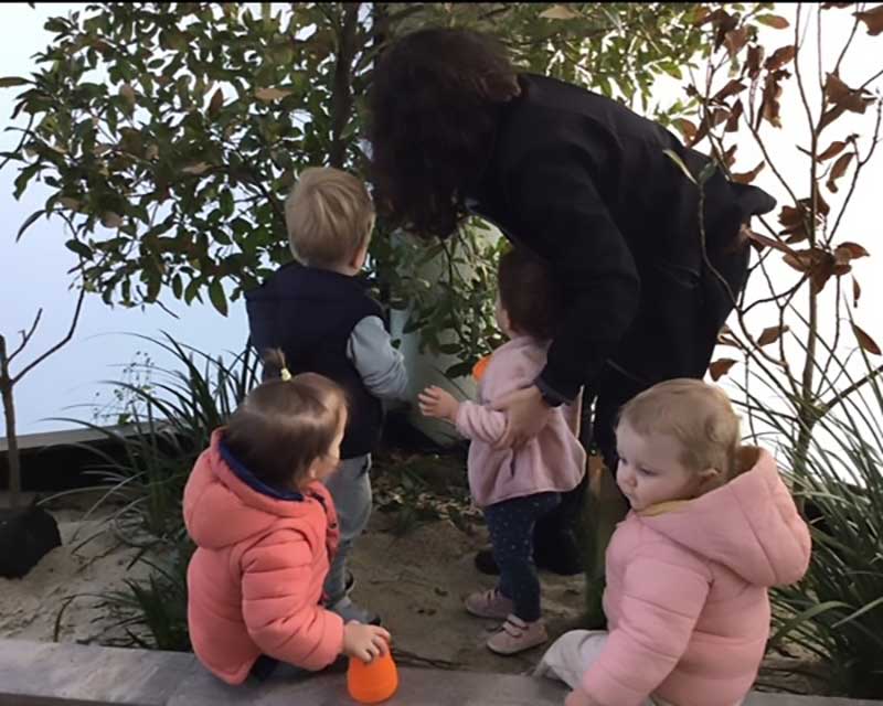 Toddlers investigate a bird seed feeder as part of a project-based learning inquiry into birds. Four toddlers in cardigans take turns looking at the feeder with the help of educator who asks them questions about their interest.