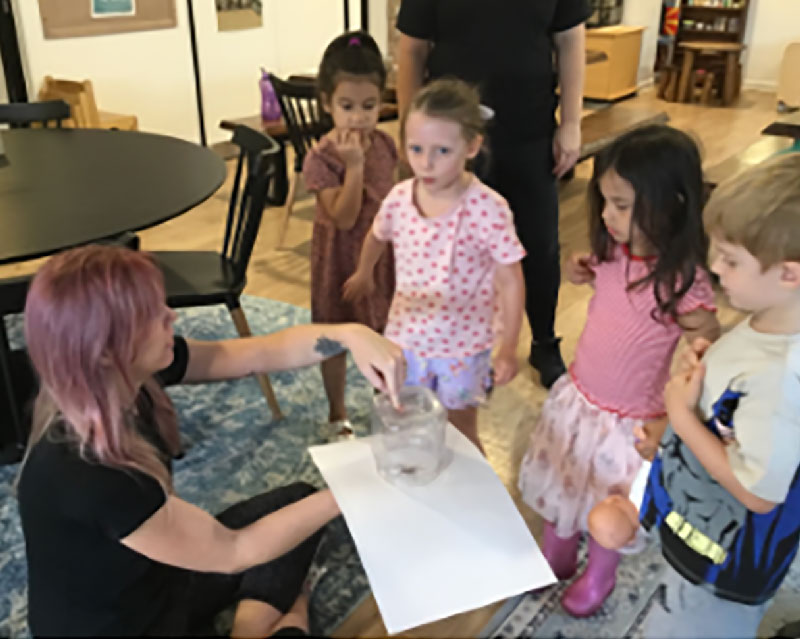 Assistant Director and Acting Educational Leader, Shannon Stacey for Petit ELJ Burleigh presents a huntsman spider to children within the studio. Shannon sits on the floor holding a piece of thick paper beneath a jar in which the huntsman sits. A group of children gather around to learn about the spider. The NQF ensures high quality education for children.