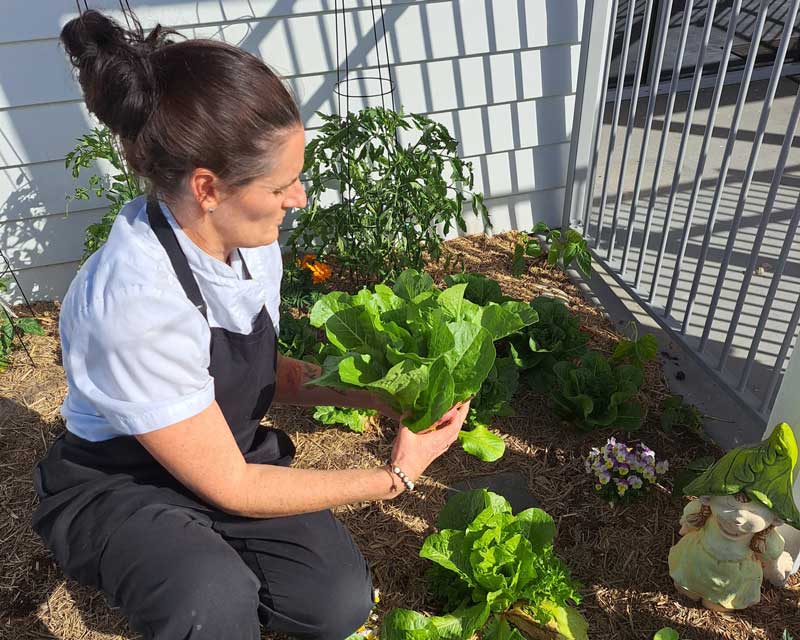 Chef Rebecca, believes her role is more than just cooking but involves teaching children about nutrition. She crouches on the ground to harvest a lettuce that she and the children have been growing in their centre's garden.