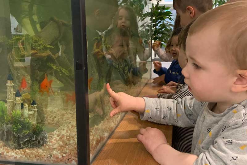 Children gather around the aquarium with fish as pets.