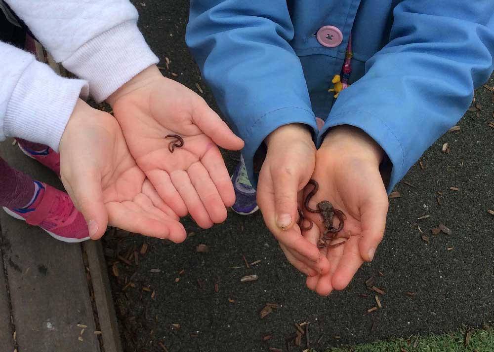 Children hold up their hands to the camera to show the wriggly worms they have found.