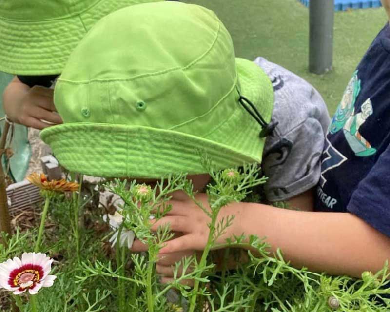  Child in a green hat leans over to smell the flowers and enjoy sensory exploration at Petit ELJ Hamilton.