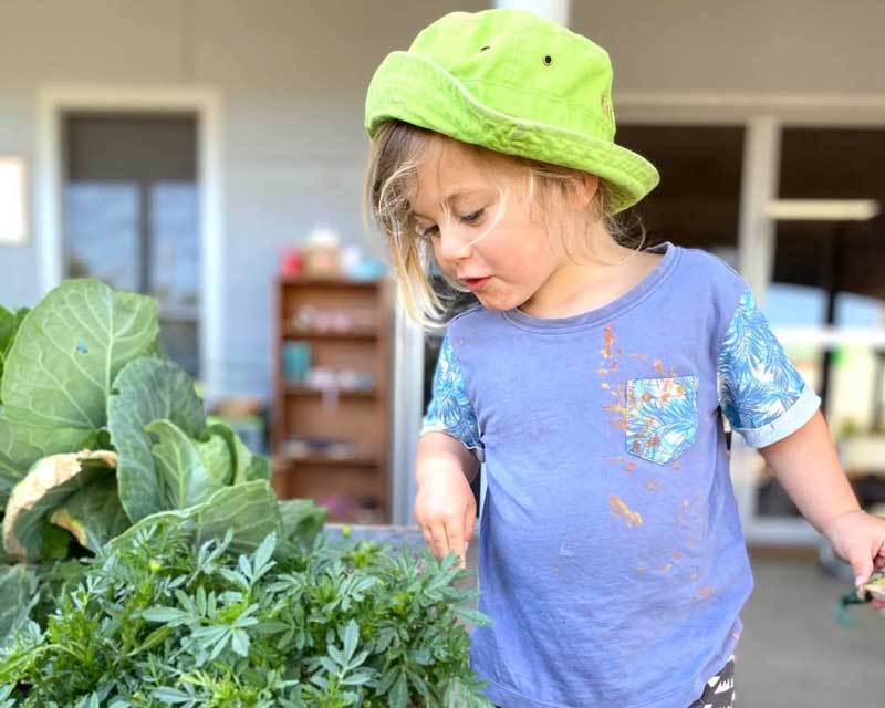 Child in a purple top and green hat peers into a vegetable patch. There are so many benefits of gardening with children.
