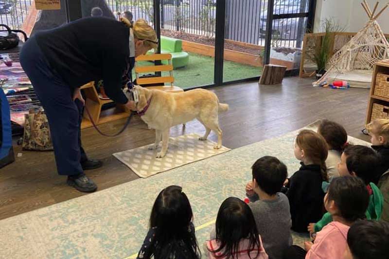 Children learn about caring for animals through incursions.