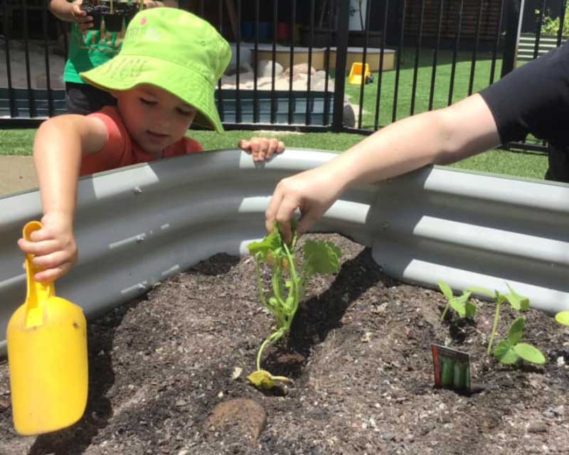 An educator gardens with preschoolers. A child leans over a raised metal gardening bed with a yellow tool to scoop up dirt. The educator's arm reaches in from the right to hold a plant.