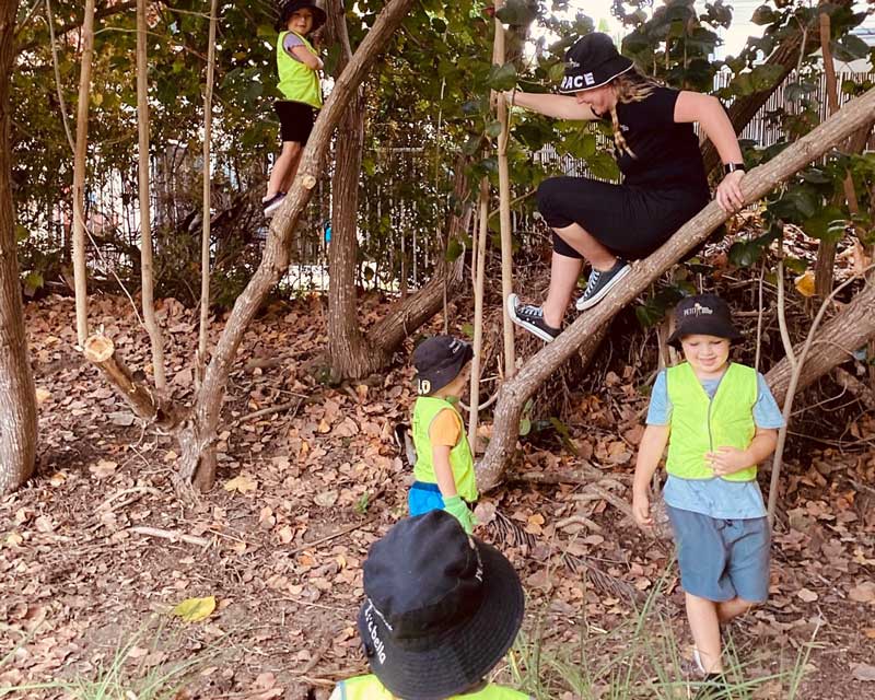 An educator demonstrates how to climb a tree and be an involved learner and adventurous in Bush Kindy.