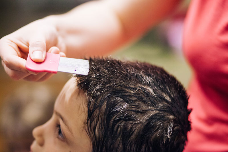 An adult uses a metal nit comb on child for head lice and nits treatment.