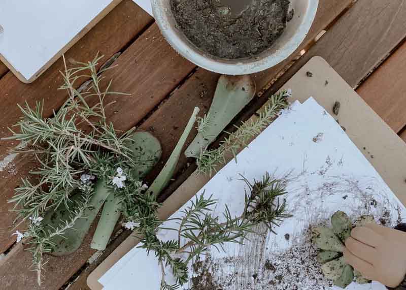 A Child uses different leaves for nature play ideas and art