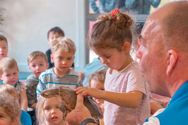 Child touches a long necked turtle during a wildlife incursion to learn the importance of animals.