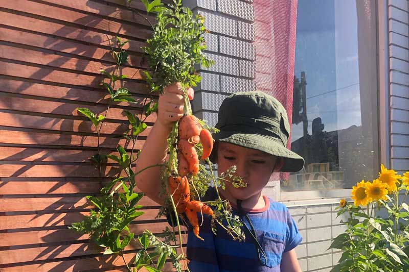 A child stands in the afternoon sun holding up a bunch of gnarly carrots in front of a window. To the right side of the window sunflowers blossom in an outdoor environment filled with the promise of gardening activities.