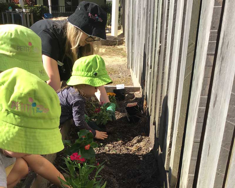 Ashleigh supporting children's interests in gardening and inspiring Educators.