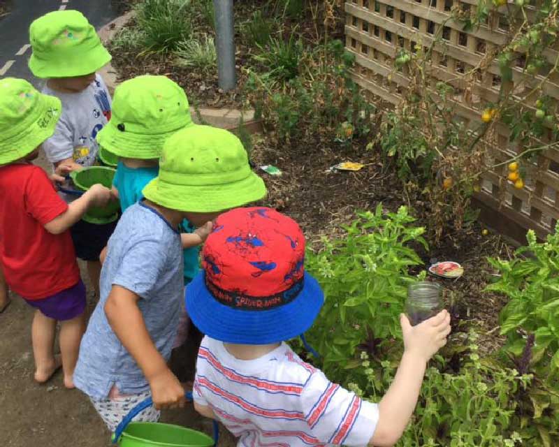Children observe the plants in the garden looking for worms and other insects as they pour worm pee onto the plants.