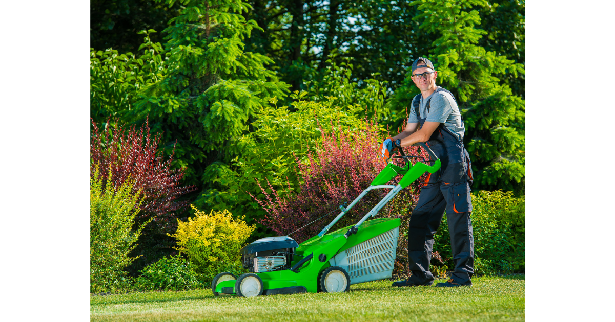 Lawn care service