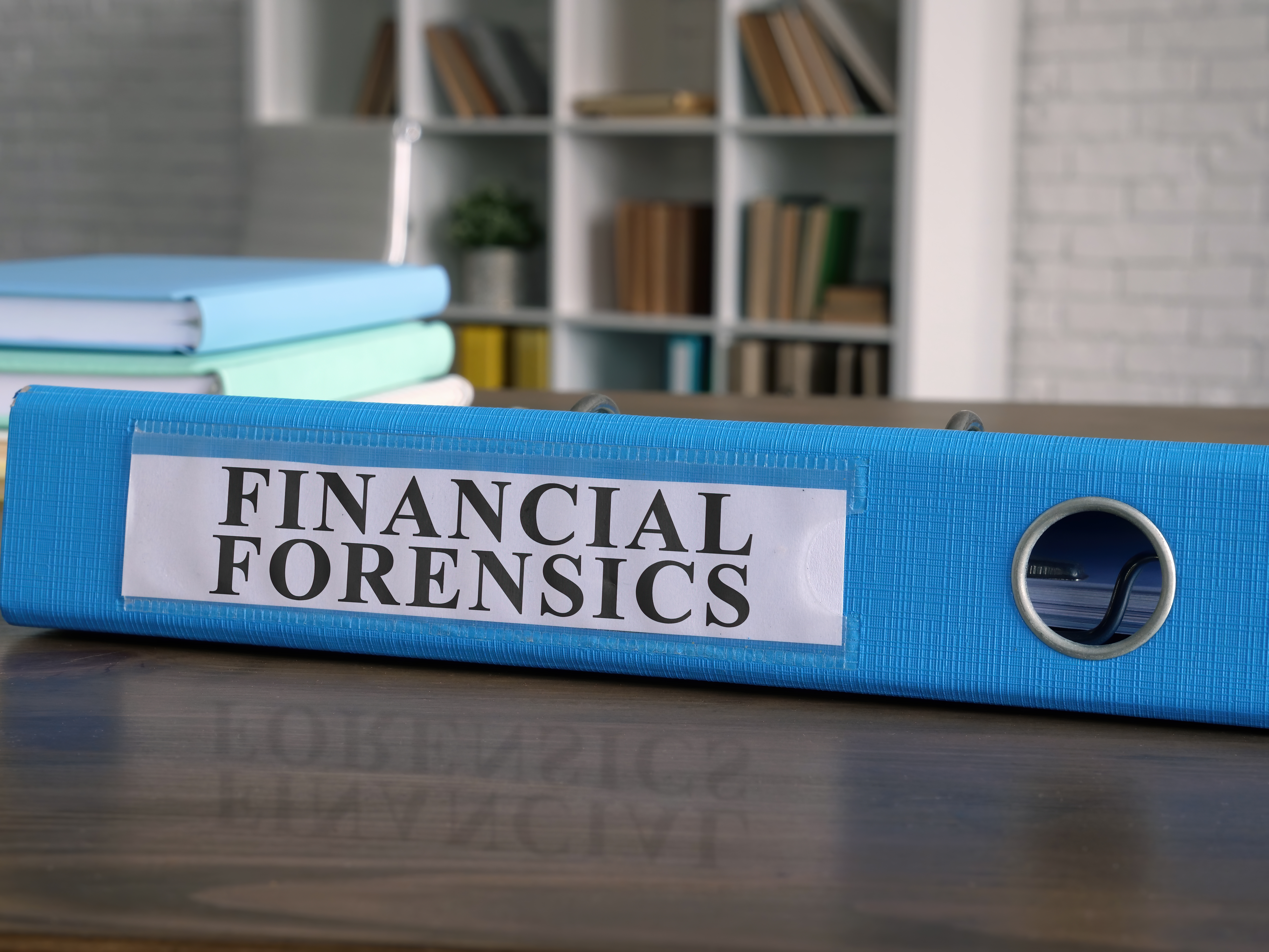 forensic accounting