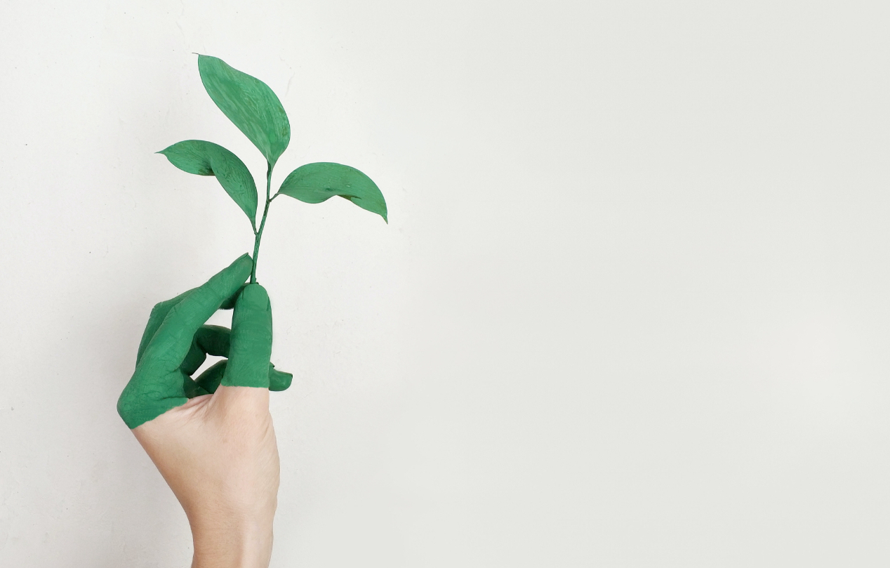 green hand holding plant