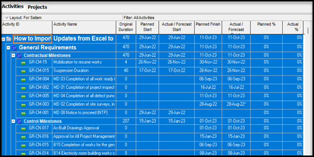 Primavera is showing PC is out of memory when importing from excel -  Planning Engineer Est.