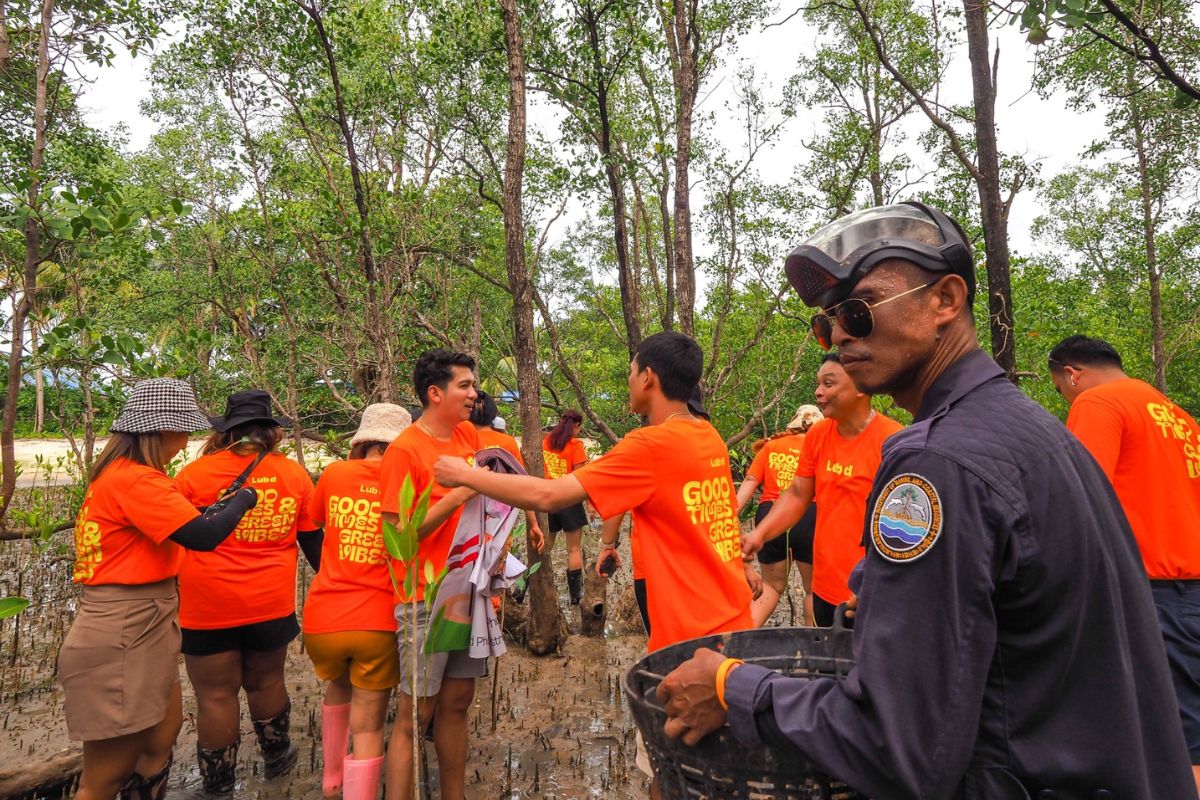Lub d Phuket Patong staff joining mangrove trees planting