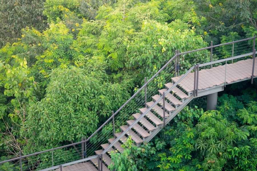 Bangkok Forest Learning Center 