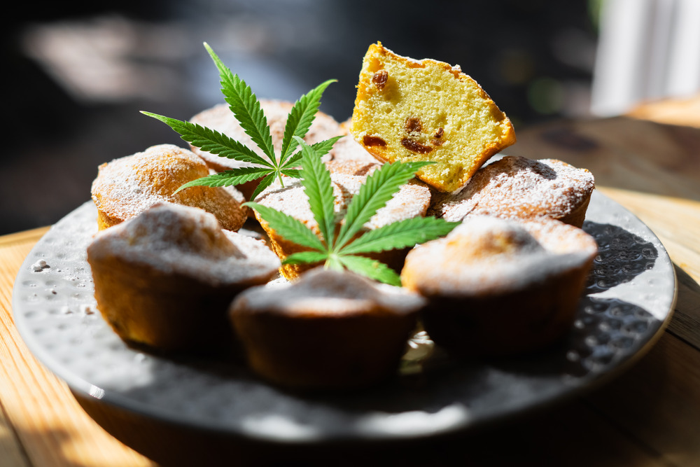 thc edibles and cannabis-infused edibles