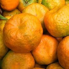 LARANJA CRAVO OU POKAN