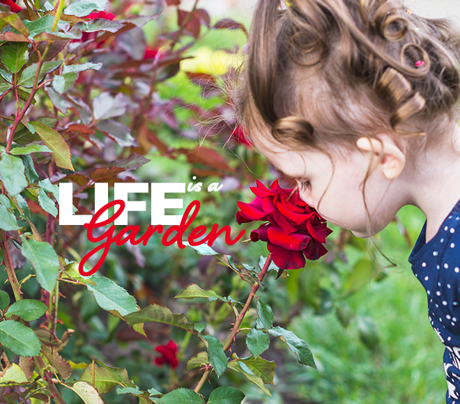 Life is a Garden