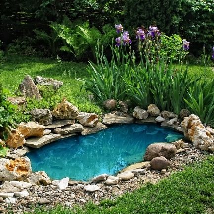 Pond Maintenance