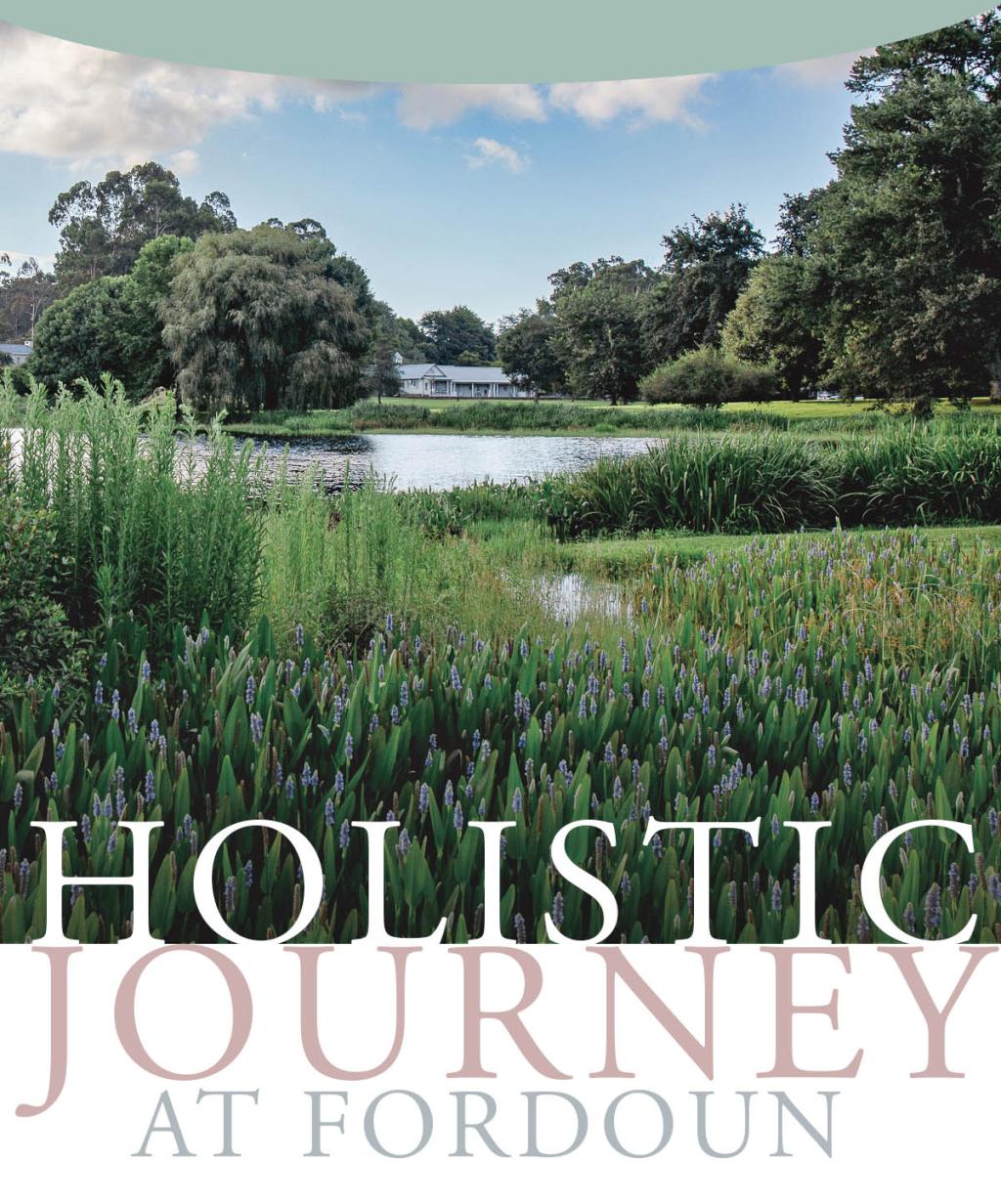 Holistic Journey at Fordoun