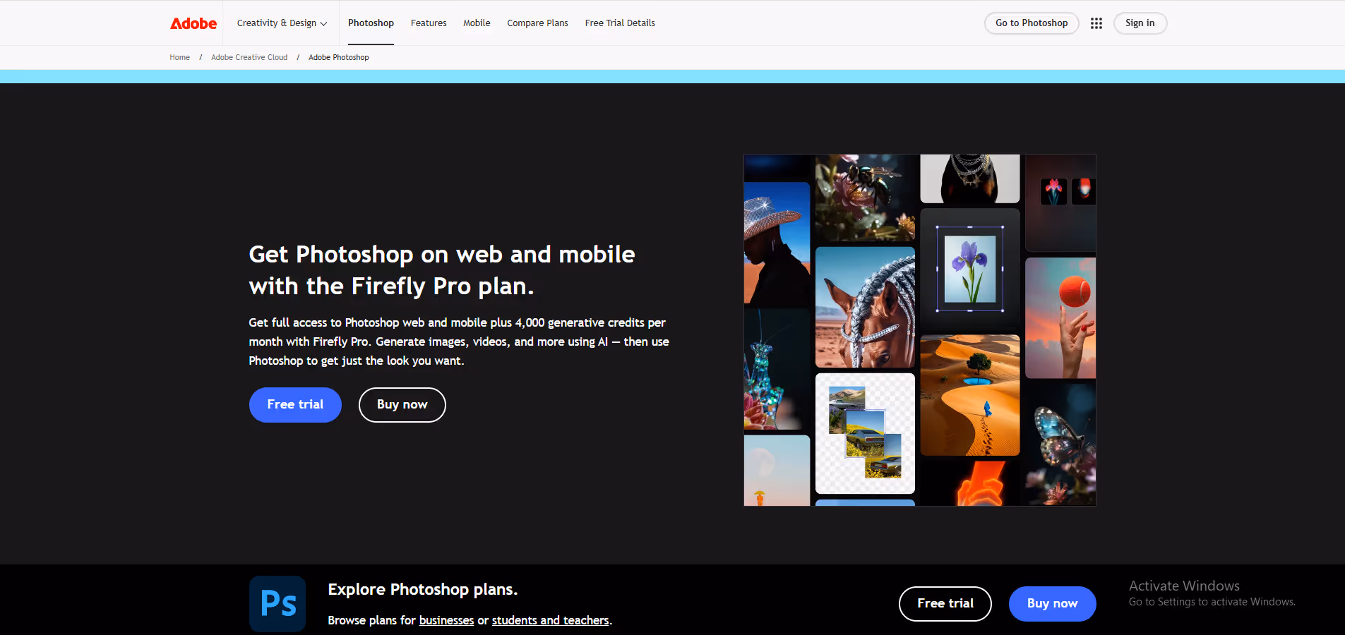 Adobe Photoshop product screenshot