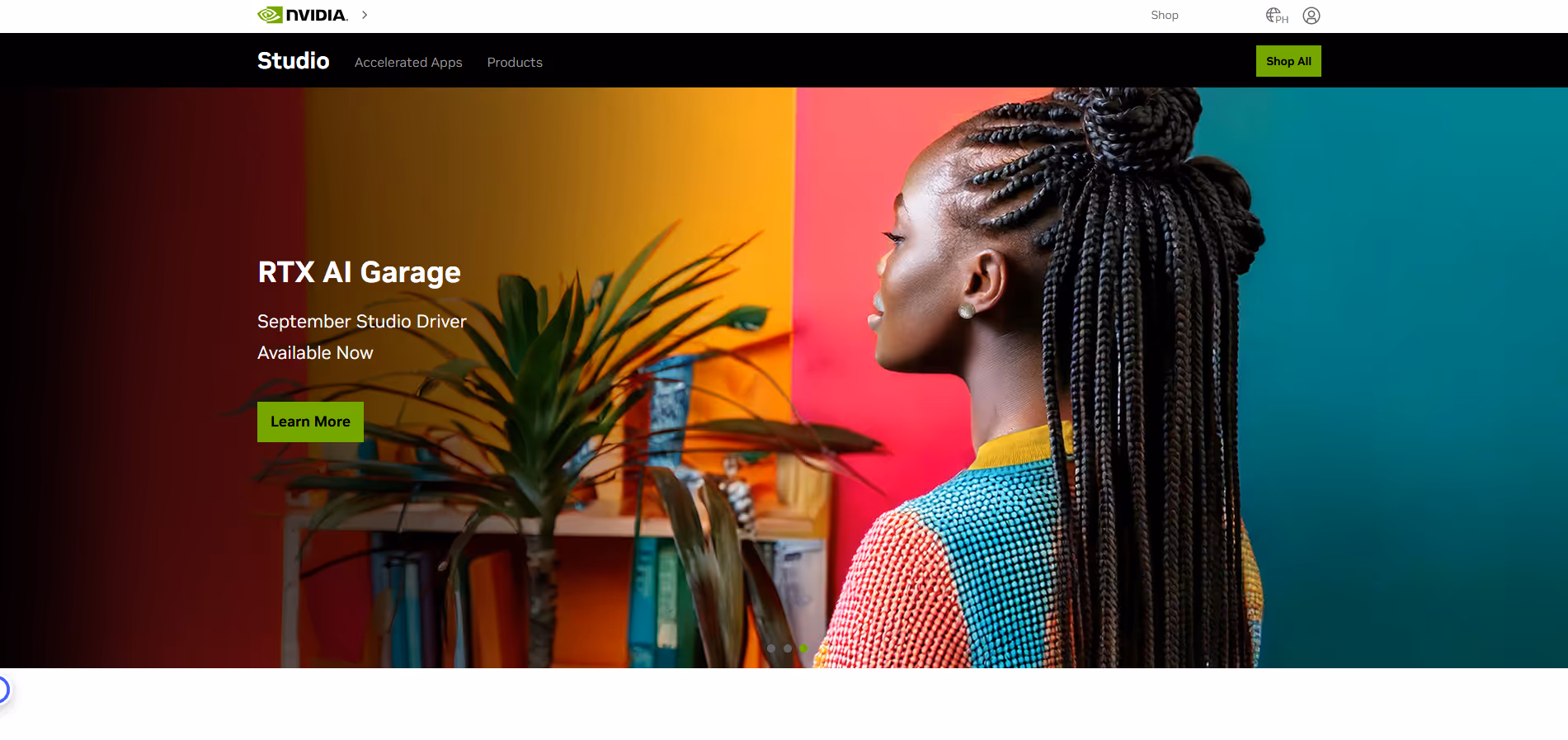 NVIDIA Canvas product screenshot