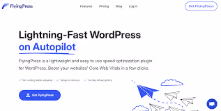 FlyingPress product screenshot