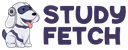 StudyFetch logo