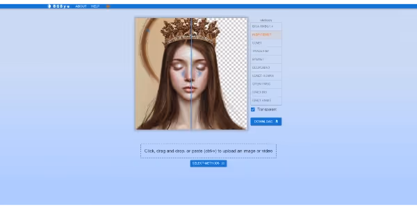 BGBye product screenshot