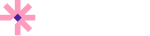 Vizard logo