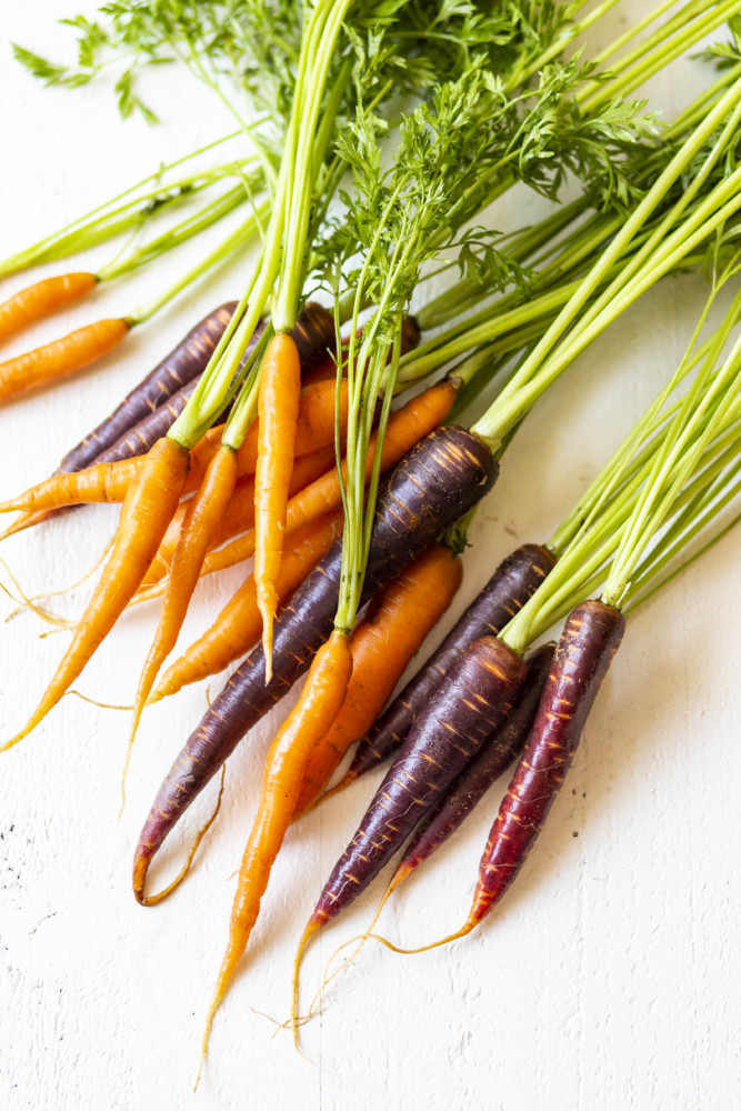 Orange and purple carrots with their carrot tops attached layed out on a a tabletop 
