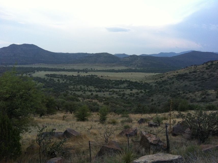 Alpine and Marfa photo 140