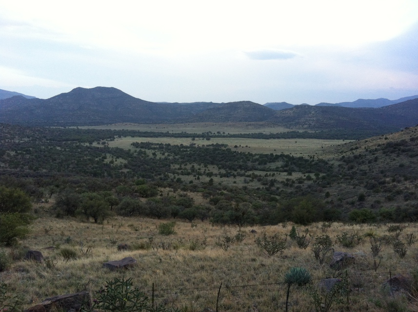 Alpine and Marfa photo 141