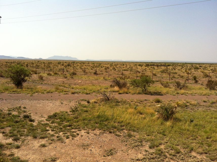 Alpine and Marfa photo 15