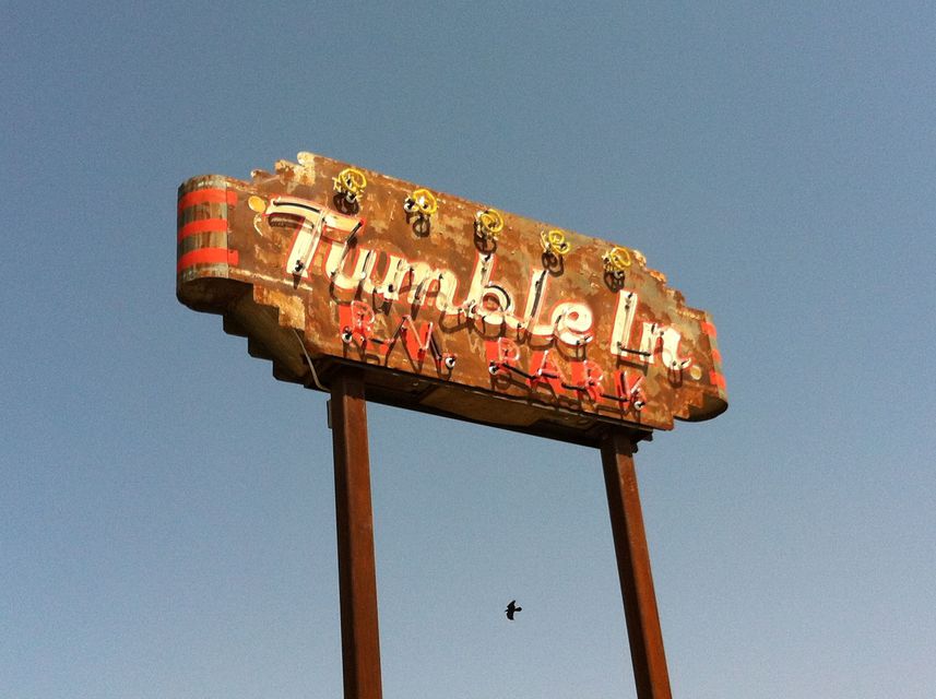 Alpine and Marfa photo 25