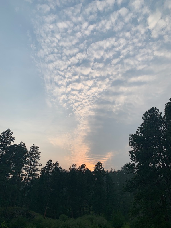 Clouds painted overhead