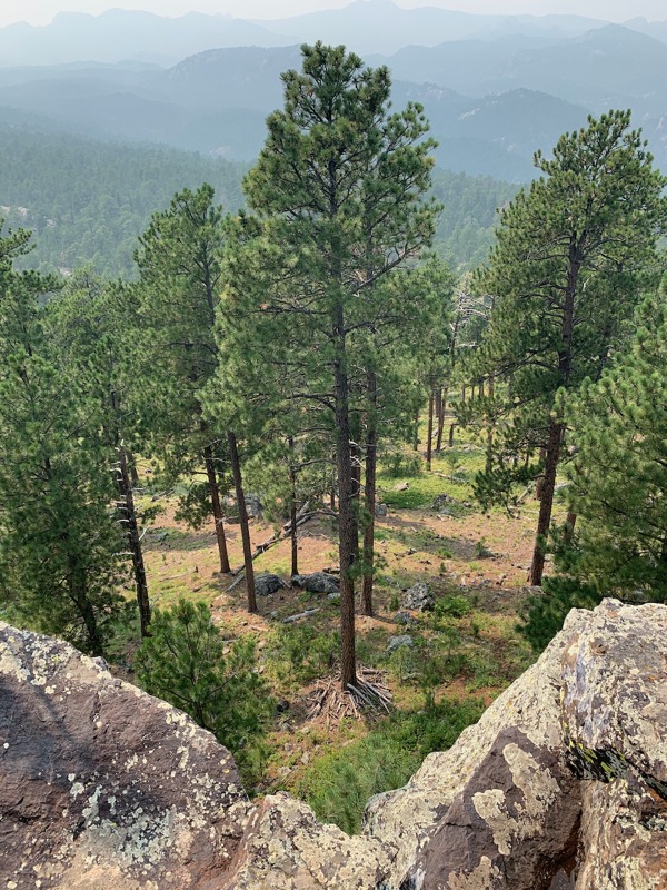 Nature's quiet corner