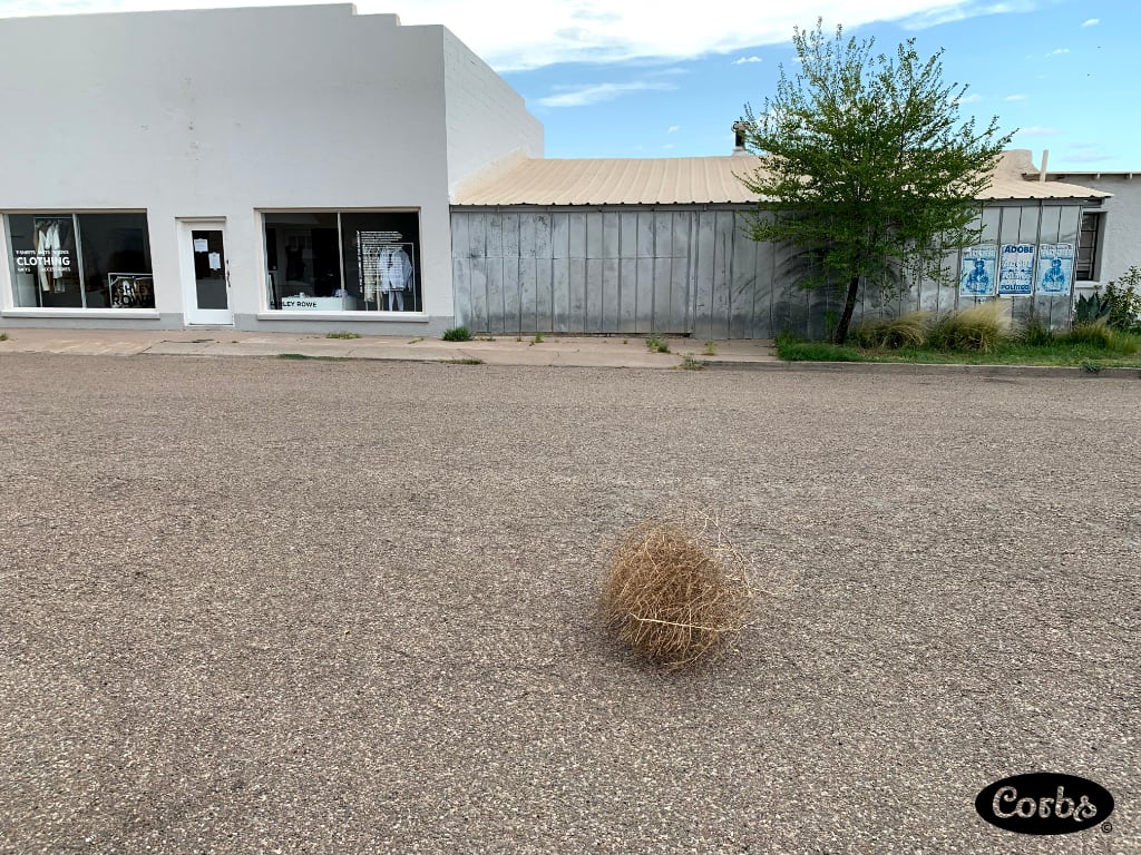 Tumbleweed gonna tumble.