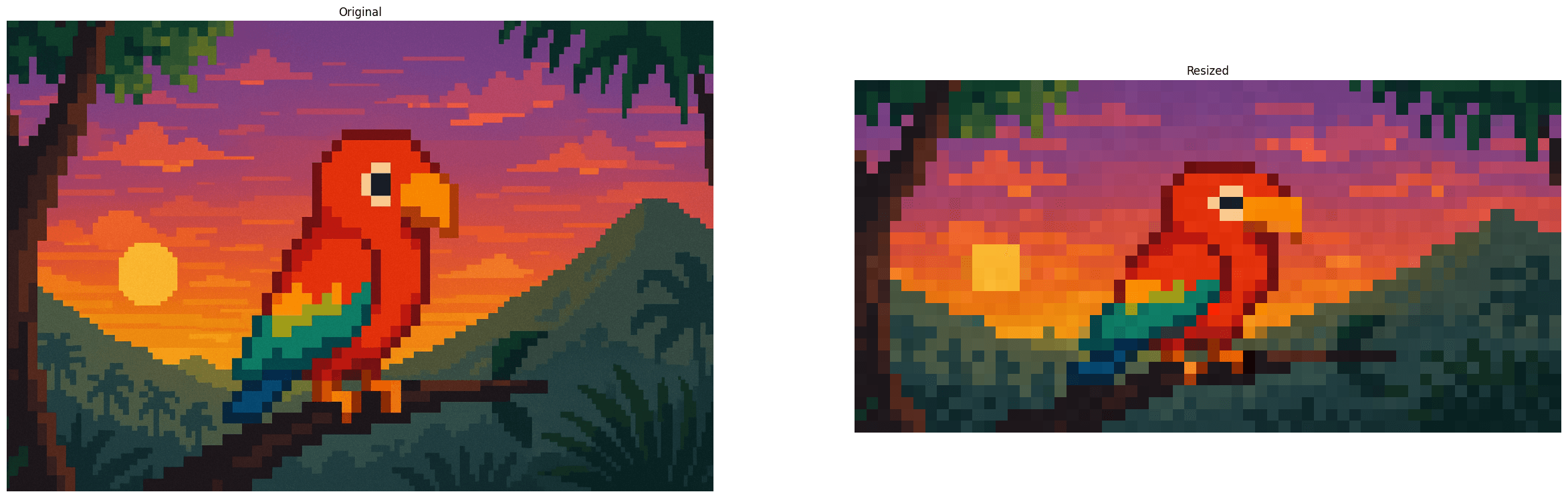 resizing_comparison.png