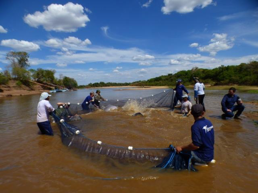 araguaia-net