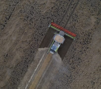 Winter wheat harvest in Pomorskie Voivodship, Poland // Credit: David Kaszlikowski and SatAgro