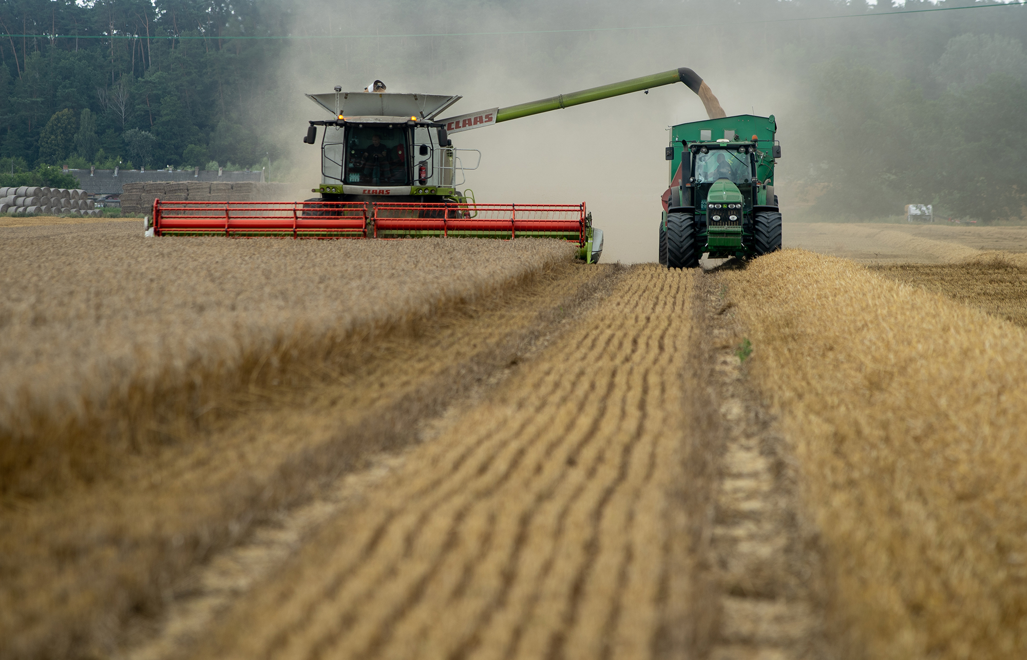 Winter wheat harvest in Pomorskie Voivodship, Poland // Credit: David Kaszlikowski and SatAgro