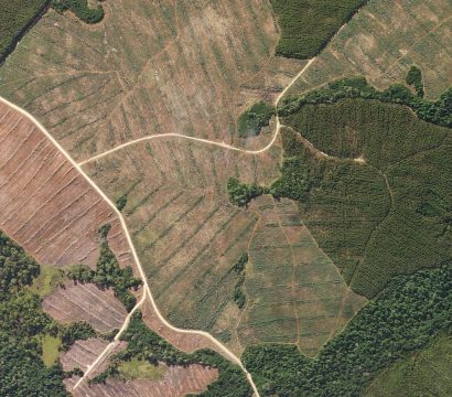 A SkySat captured this high-resolution view of timber stands at various stages of growth in the interior of Tasmania, Australia. © 2019, Planet Labs Inc. All Rights Reserved.