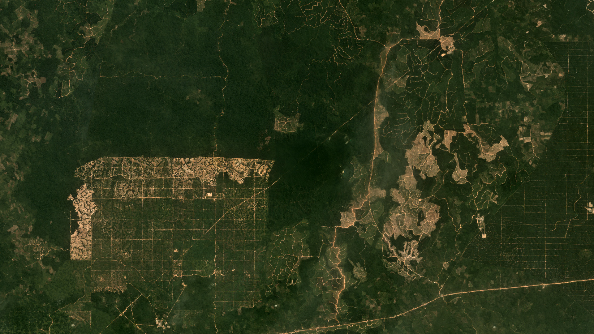 Land Cover and Land Use: Driving Solutions with Planet Data