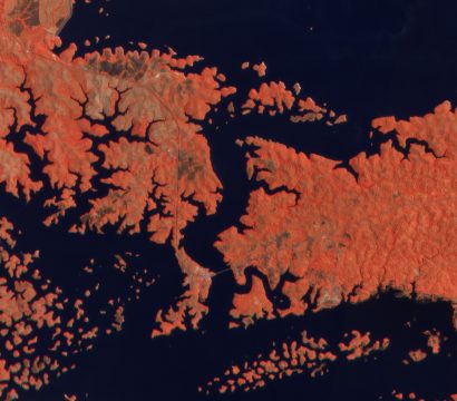 Bayano Lake, Panamá Province, Panama. © 2020, Planet Labs Inc. All Rights Reserved.