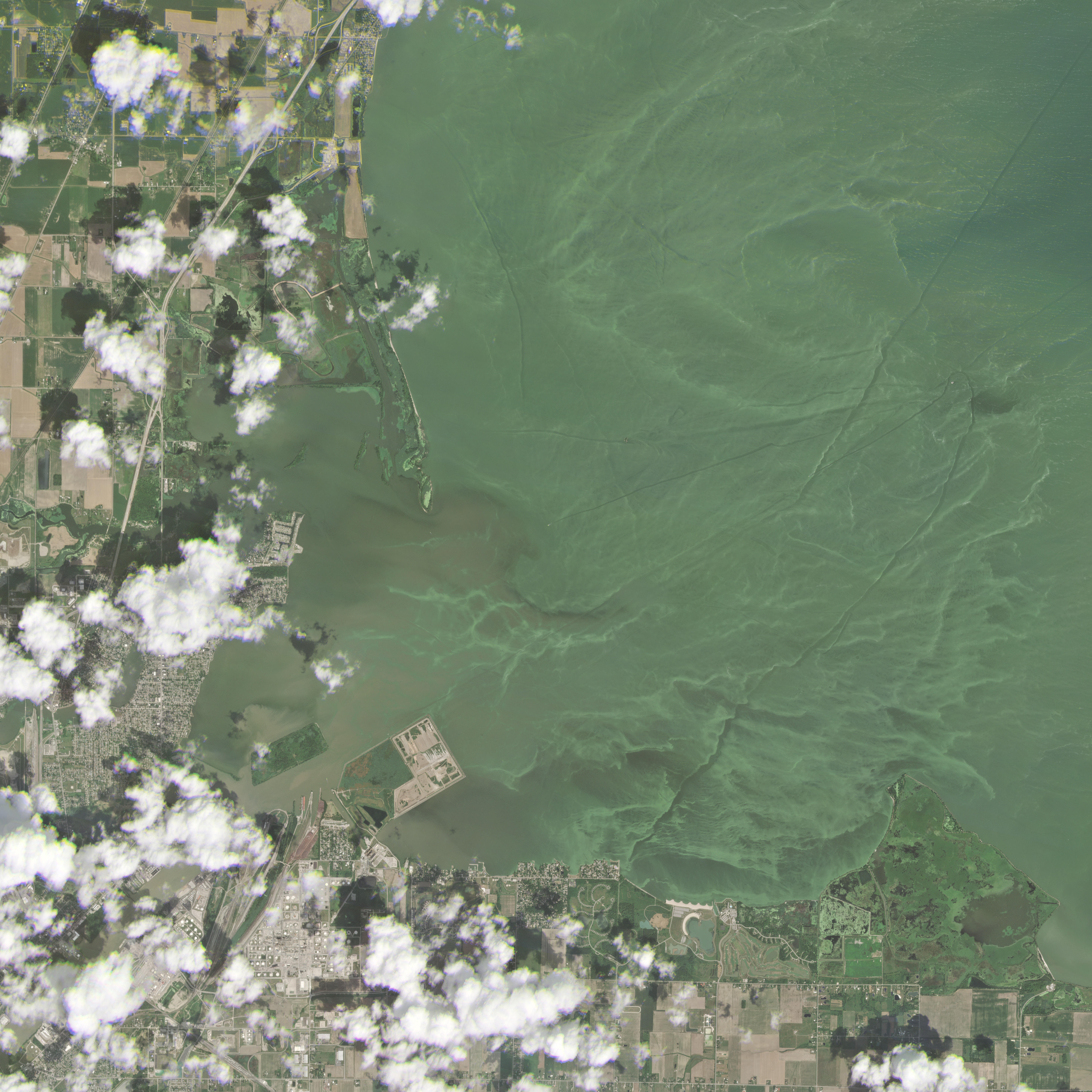 Algal Blooms in Toledo, Ohio. © 2019, Planet Labs Inc. All Rights Reserved.