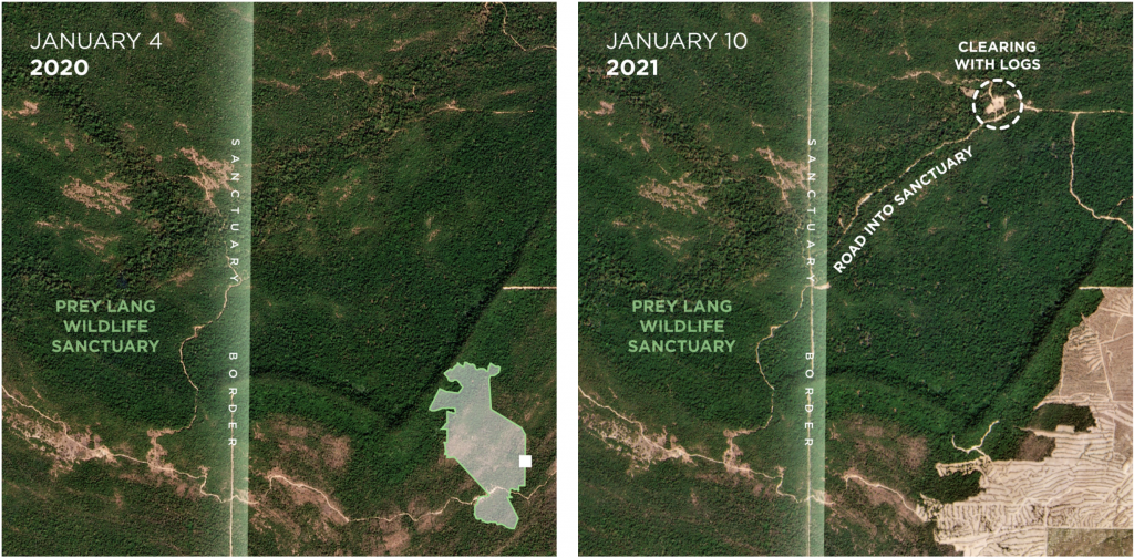 Planet's Data Helps Amnesty International Tackle Deforestation In 